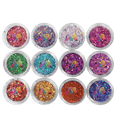 12 Pack Holographic Glitter - Maskscara
