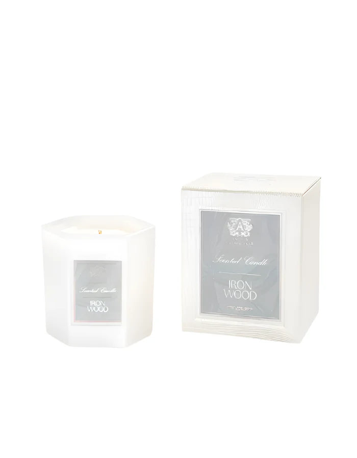 Antica Farmacista Iron Wood 9 oz. Candle