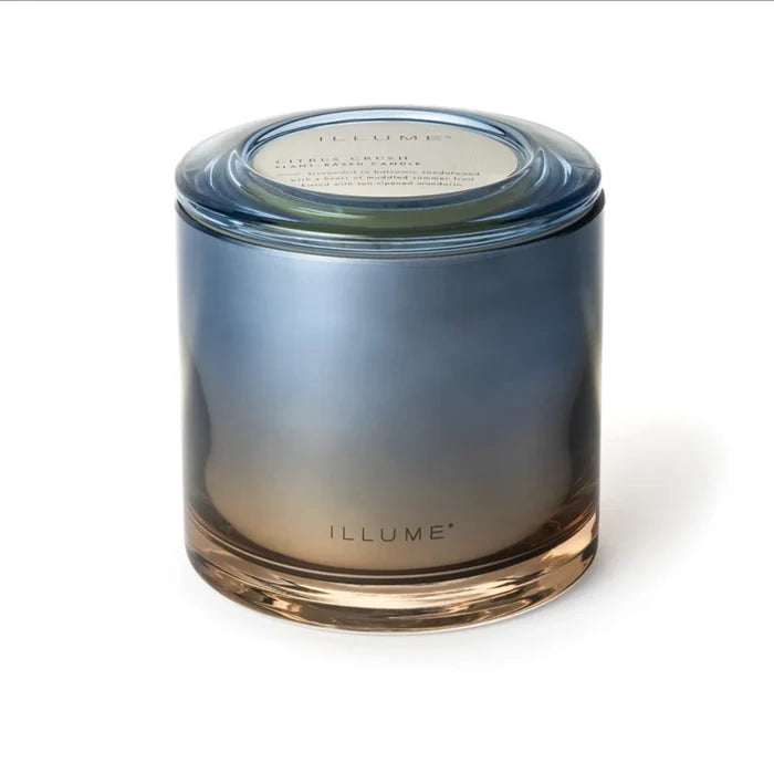 Citrus Crush Statement Candle