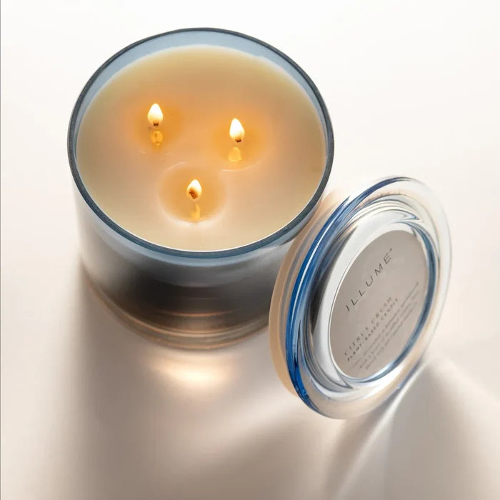 Citrus Crush Statement Candle
