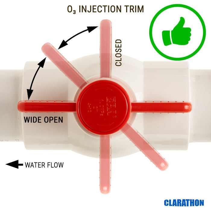 Ozone injector manifold