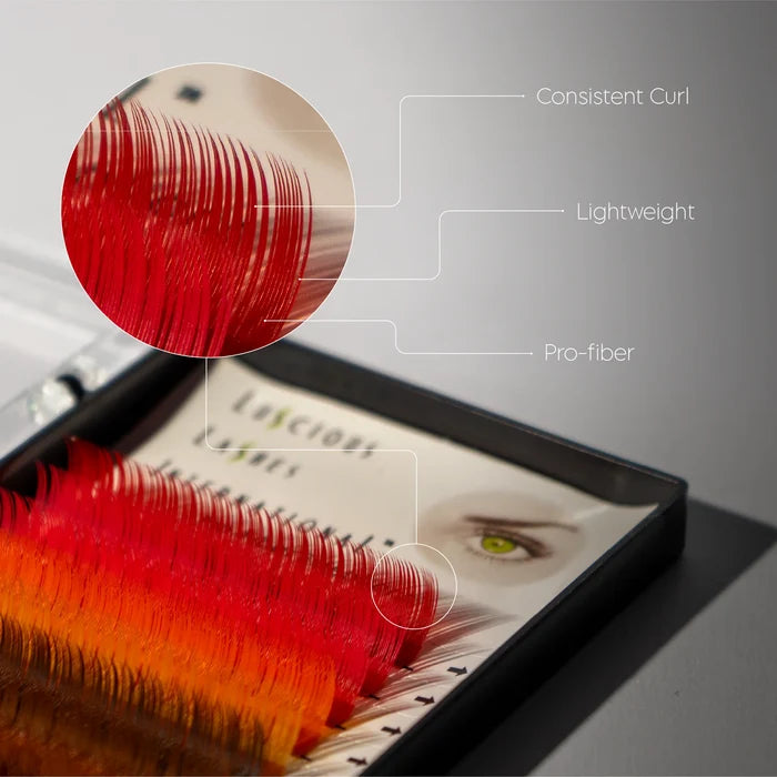 Colour Lashes C-Curl 0.20mm Rainbow 11mm