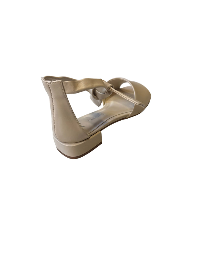 Darci-Dress Ankle Tie Heel