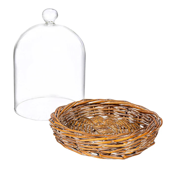 Decorative Glass Cloche