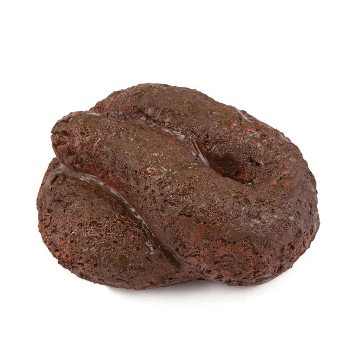 Hide A Key Dog Poop