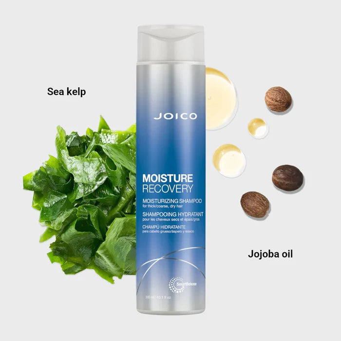 Moisture Recovery Moisturizing Shampoo