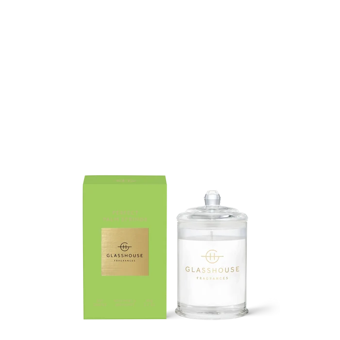 Picture Perfect Palm Springs Candle - (two sizes)
