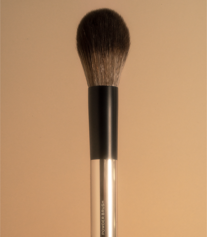 Powder Brush