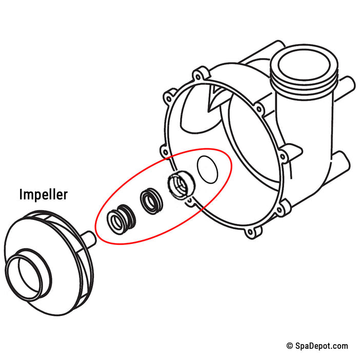 Impeller, seal, & volute of pump