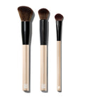 The Essential Brush Kit