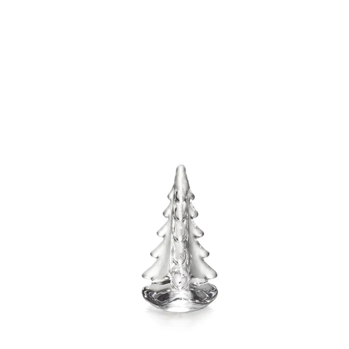 Vermont Evergreen in Gift Box - 14 inch, 10 inch, 6 inch, 4 inch