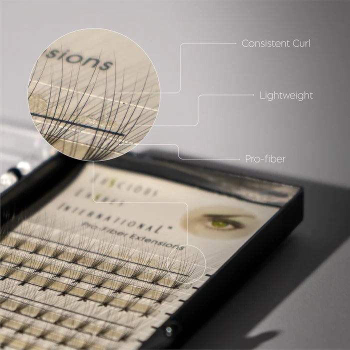 Volume Fans 12 Row 6D C-Curl 0.07mm 12 mm