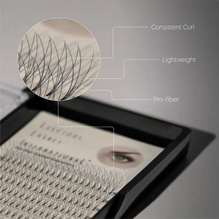 Volume Fans 16 Row 3D C-Curl 0.07mm 13mm